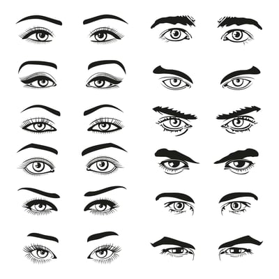 Types of Eyebrow Shapes 