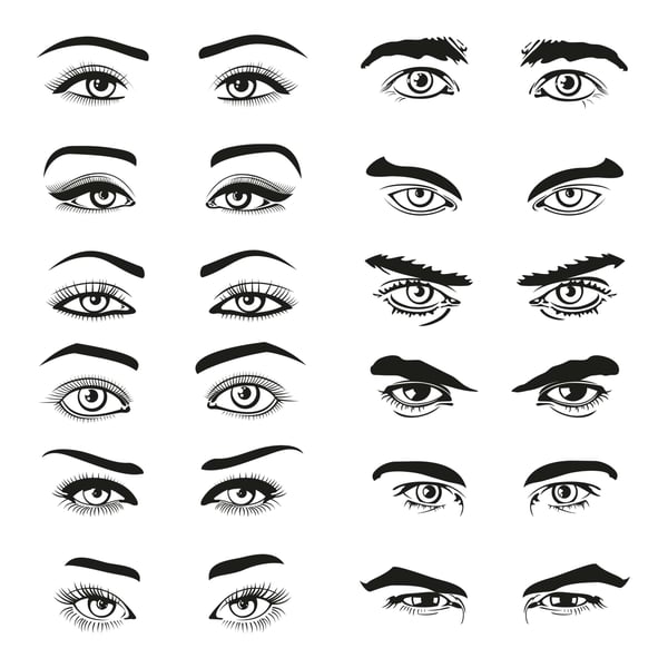Types of Eyebrow Shapes 